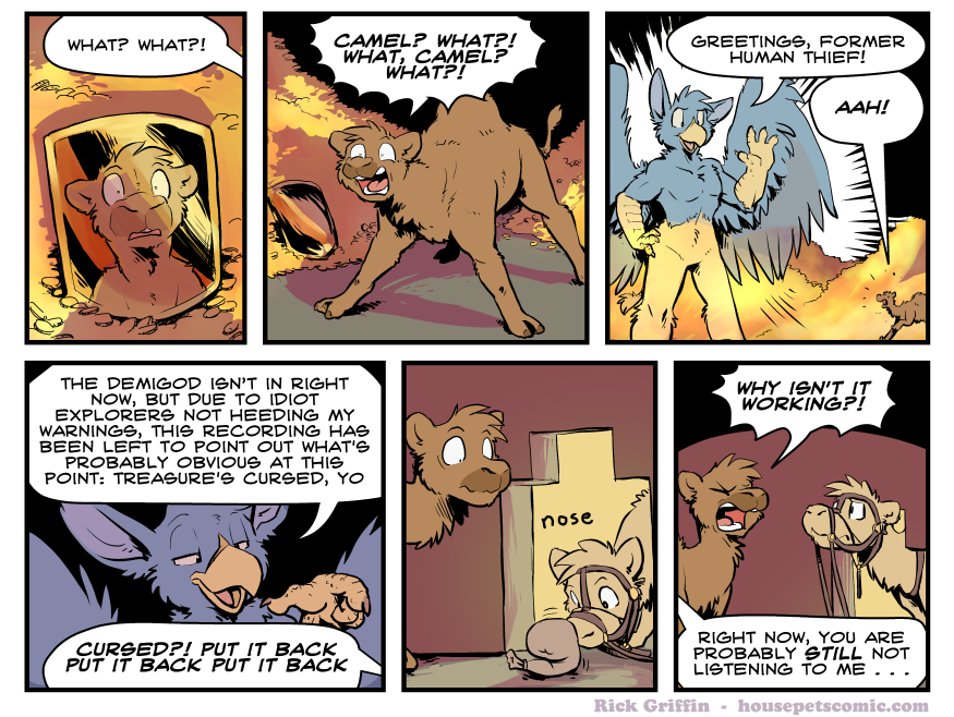 what camel?