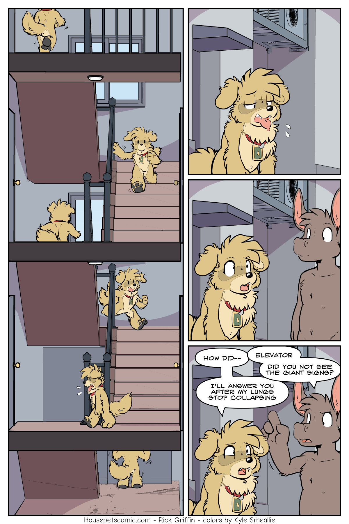tarot how did you even manage to keep up down the entire temple--oh right superpowers. Which you don't have. Cause you're a regular dog.
